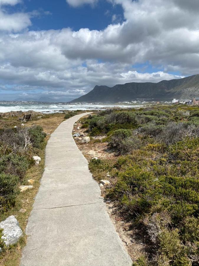 Shore'S Edge Luxury Oceanfront Home Hermanus Exterior foto